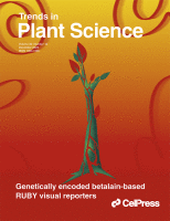 46. Sugar codes for plant fitness: arabinosylation in small peptide signaling